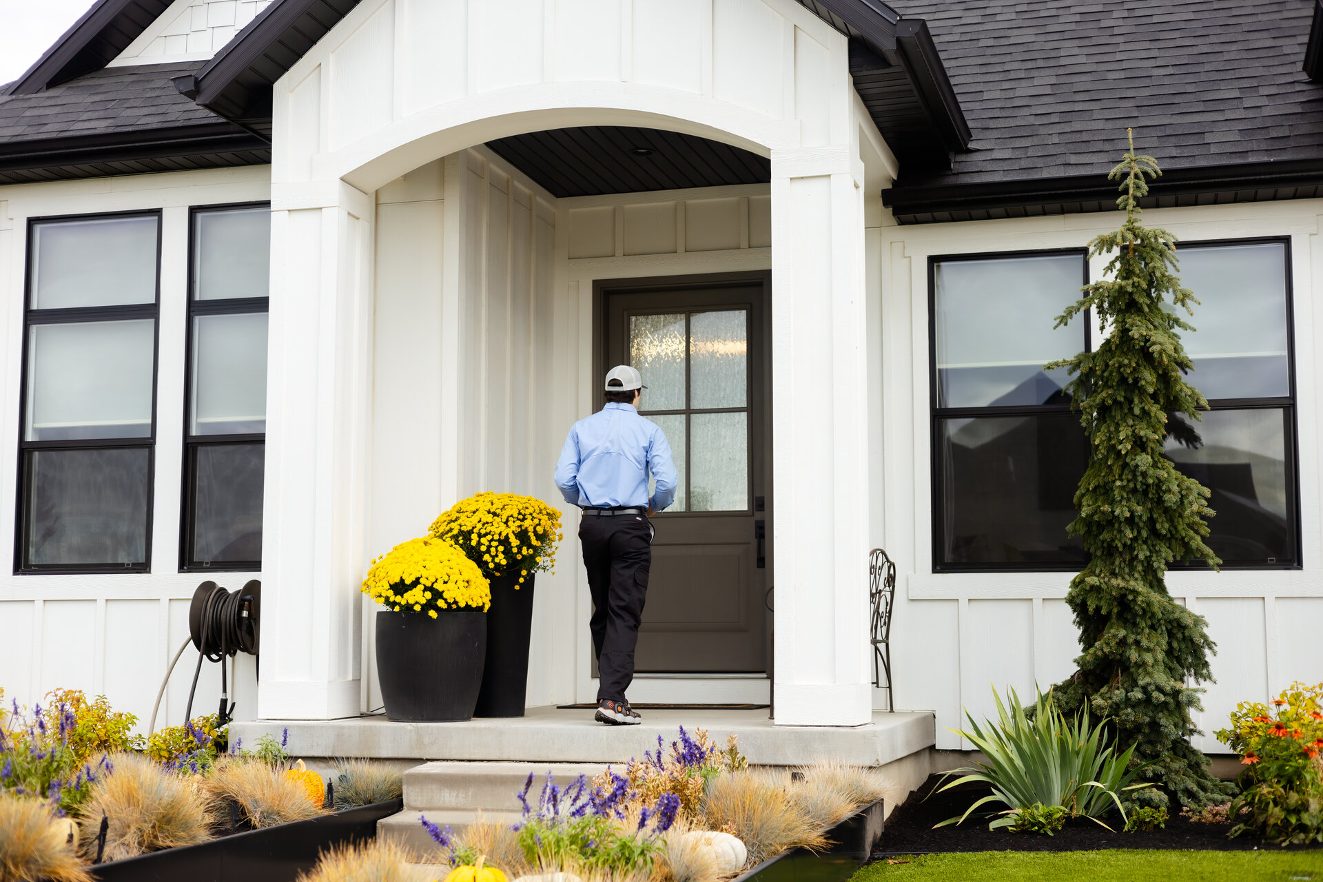 Professional centipedes control services