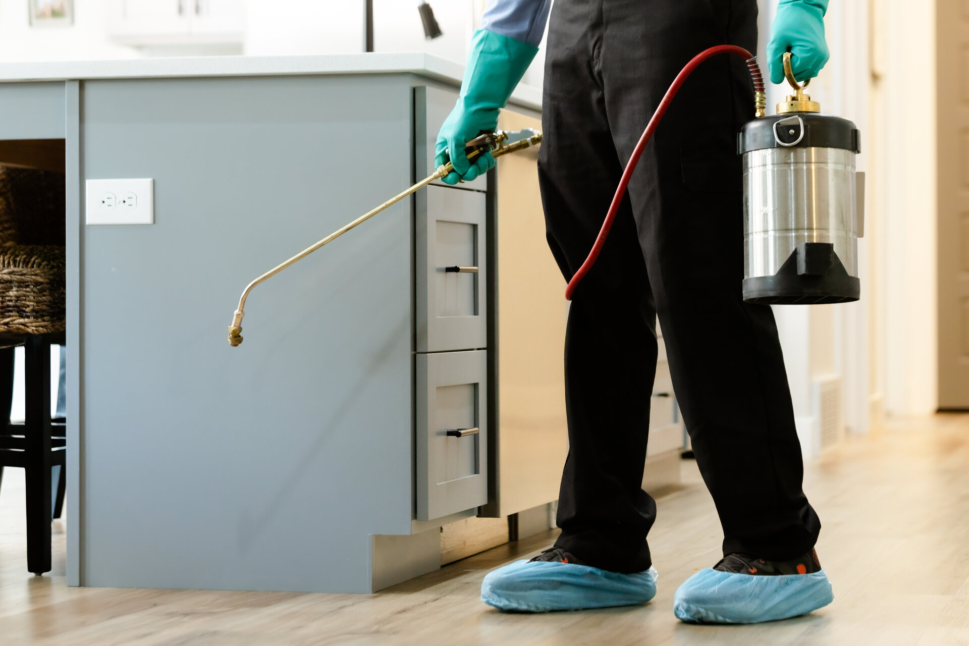 Professional mosquitoes control services