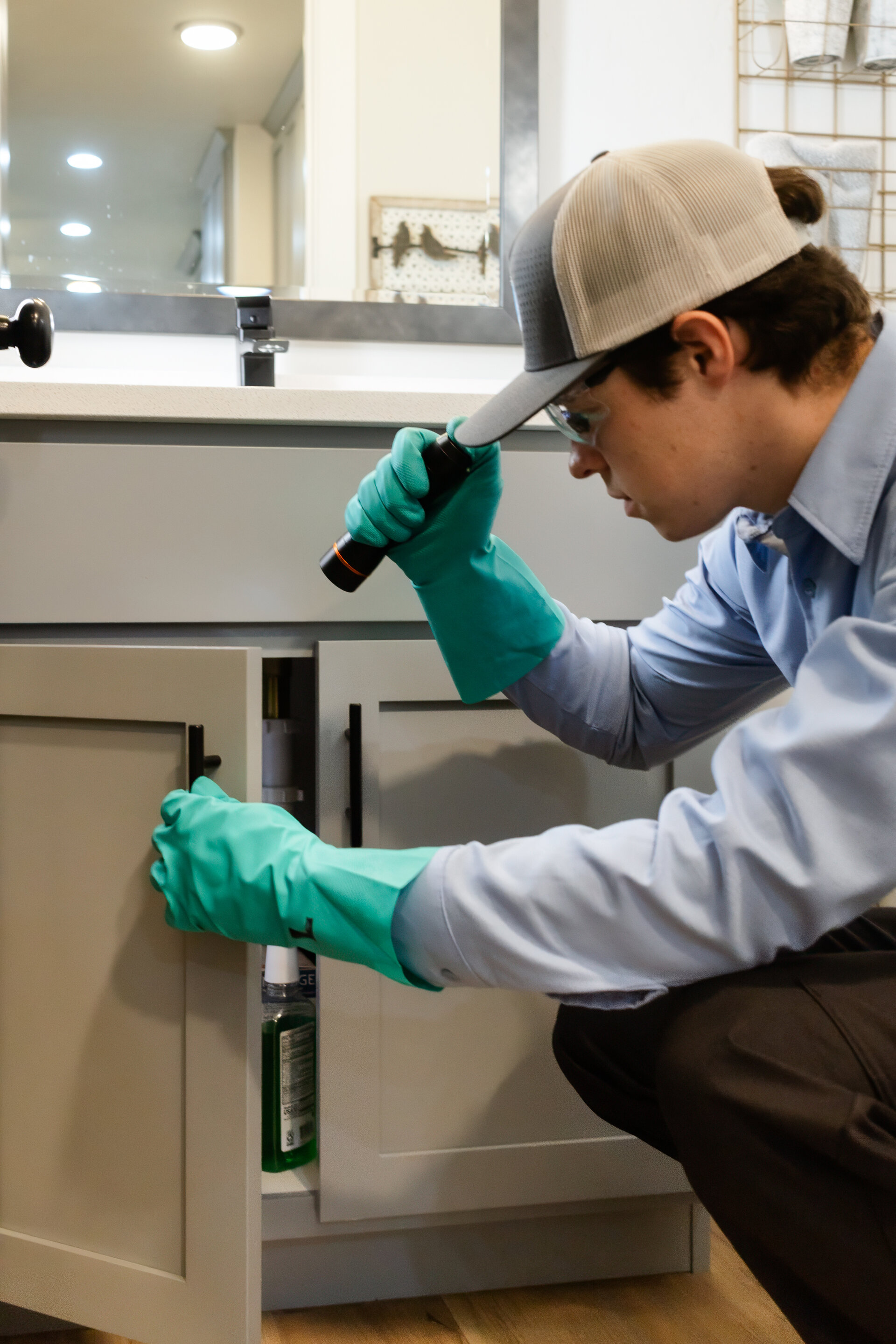 Professional pest control services